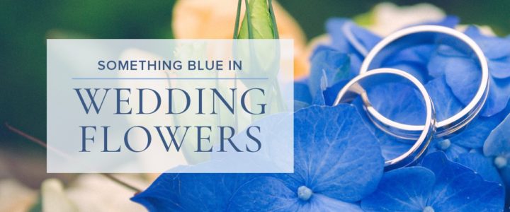 ElegantSomethingBlue-BeautifulBlue-blog