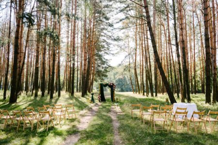 Outdoor wedding image with trees no people