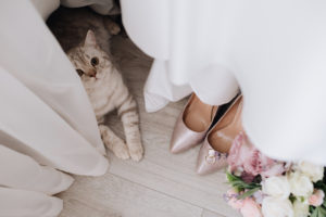 Cat sitting under wedding dress near flowers, shoes, and rings