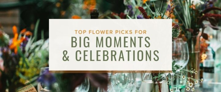 Flowers for celebrating the big moments
